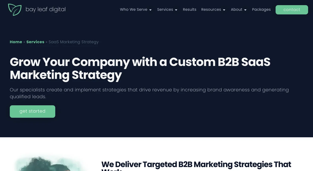 Bay Leaf Digital SaaS marketing page